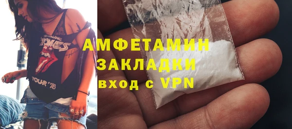 гидра Инта