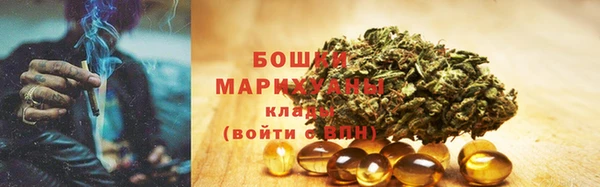 гашик Зерноград