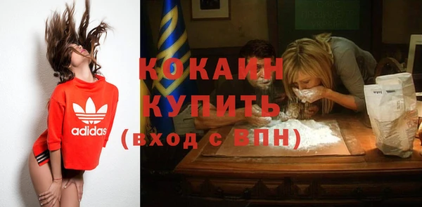 гидра Инта