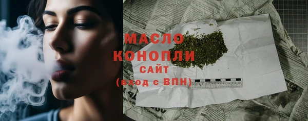 гидра Инта