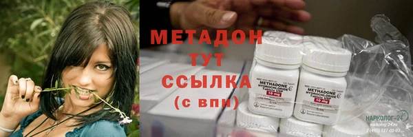 гидра Инта