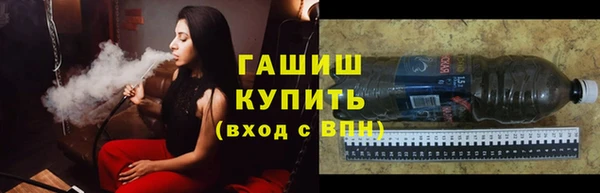 гидра Инта