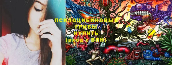 дурь Инсар