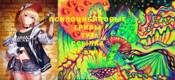 spice Зеленодольск
