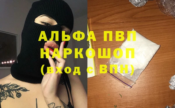 гидра Инта