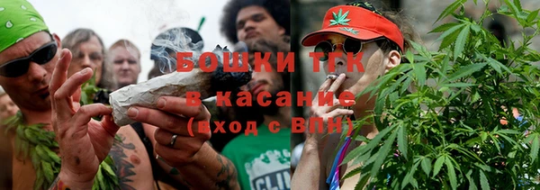 дурь Инсар