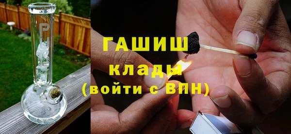 гидра Инта