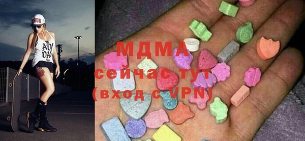 гидра Инта
