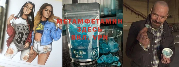 гидра Инта