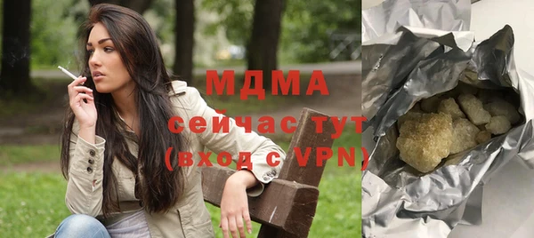 гидра Инта