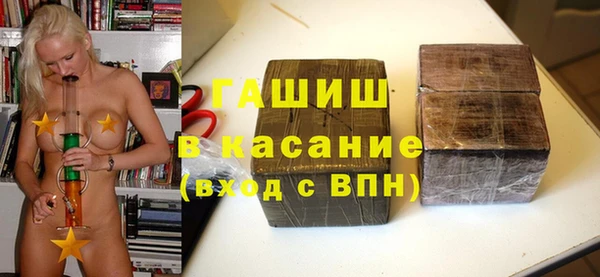 гидра Инта