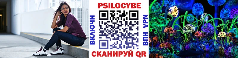 Псилоцибиновые грибы мицелий  Купить закладки  Пыталово 