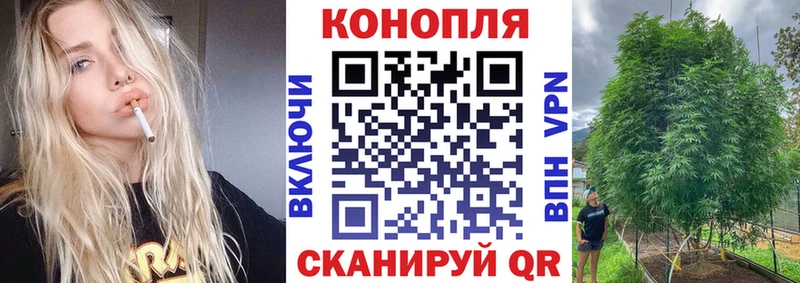 Купить закладки  Пыталово  Шишки марихуана гибрид 